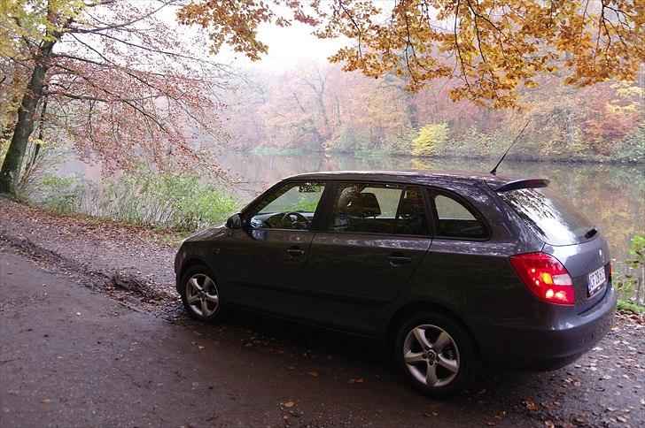Skoda Fabia Greenline  billede 14