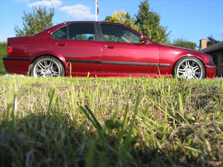 BMW e36 320i billede 18