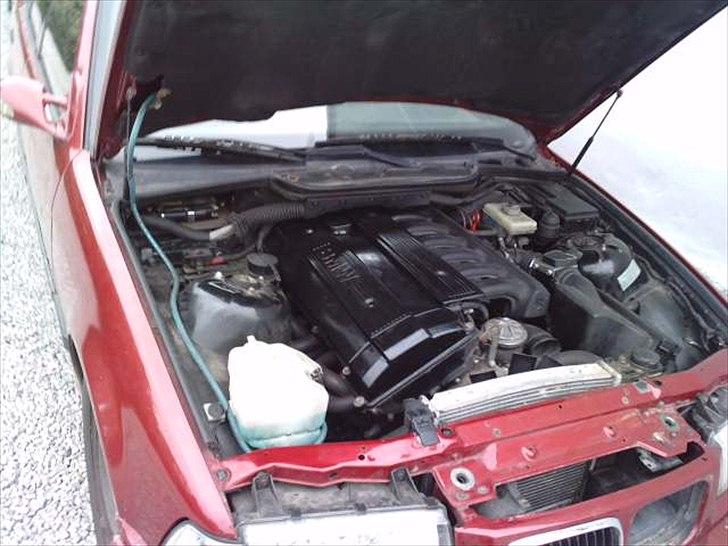 BMW 323i e36 billede 6