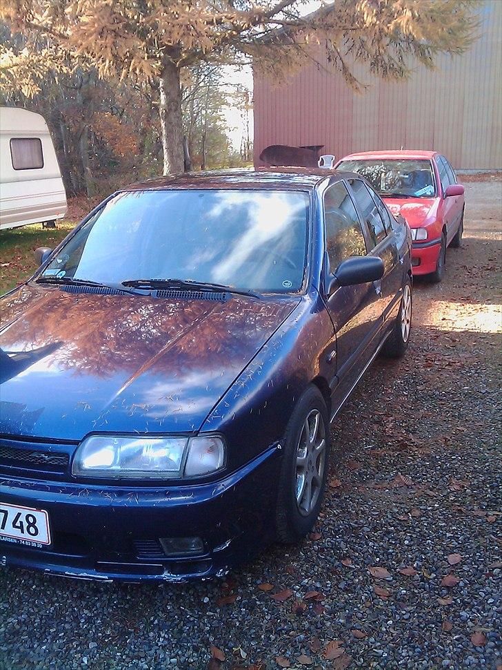 Nissan Primera LX R.I.P billede 6