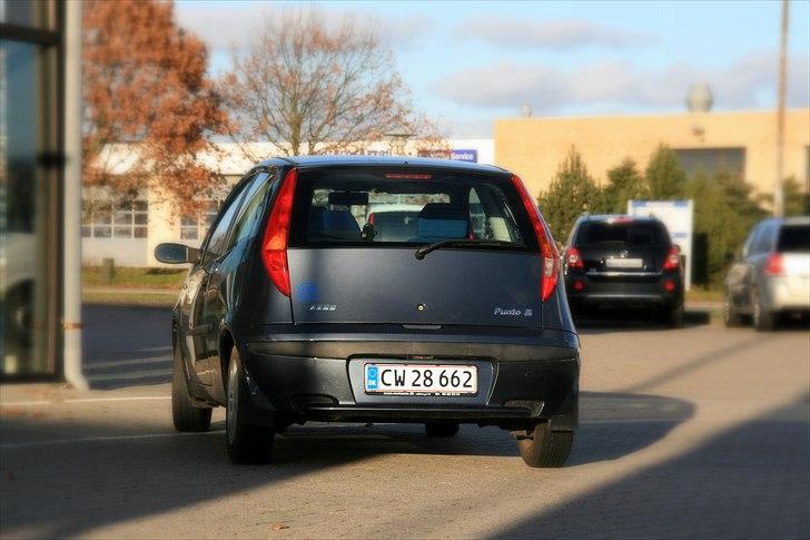 Fiat Punto billede 13