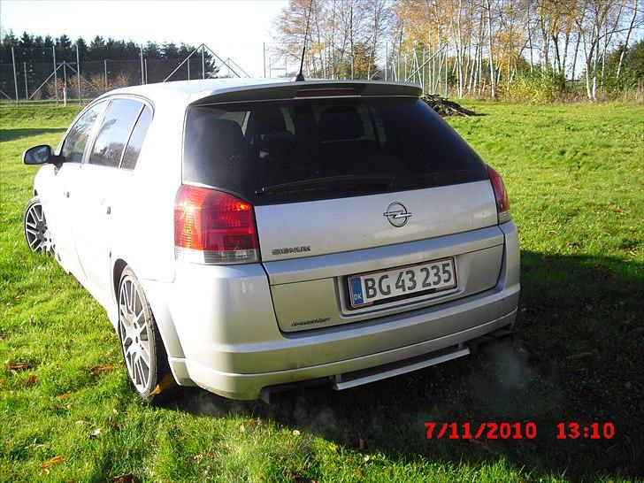 Opel Signum billede 3
