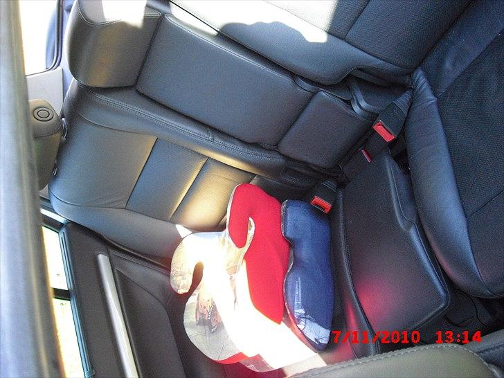 Opel Signum billede 11