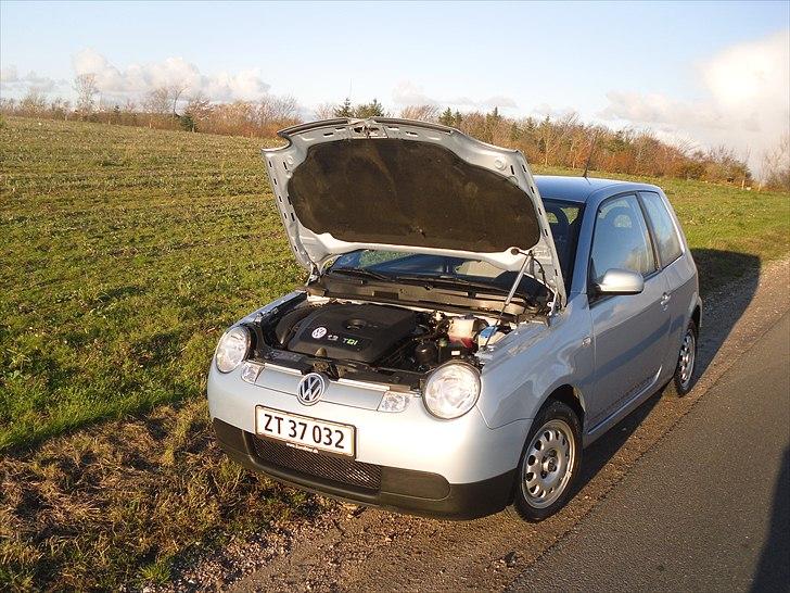 VW Lupo 3L TDI billede 3