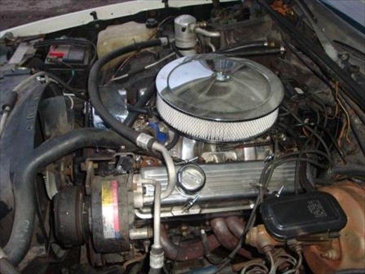 Oldsmobile Cutlass billede 13