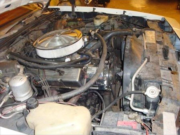 Oldsmobile Cutlass billede 15