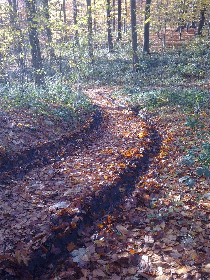 Land Rover Range Rover Classic - Range Rover på skovtur billede 13