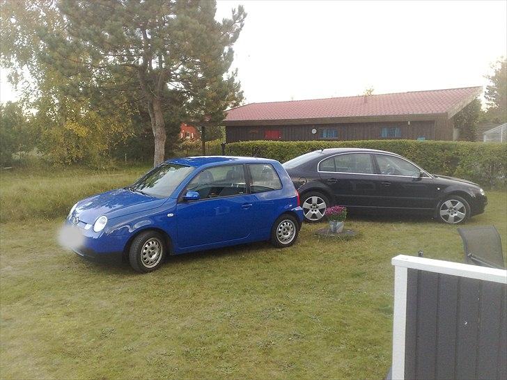 VW Lupo 3L billede 8