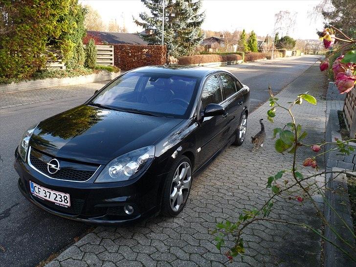 Opel Vectra OPC - SOLGT billede 11