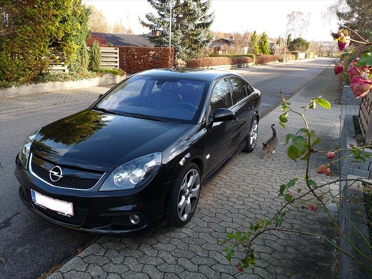 Opel Vectra OPC - SOLGT - Der er den så i fuld dagslys billede 13