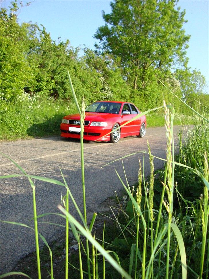 Audi A4 1.8T billede 1