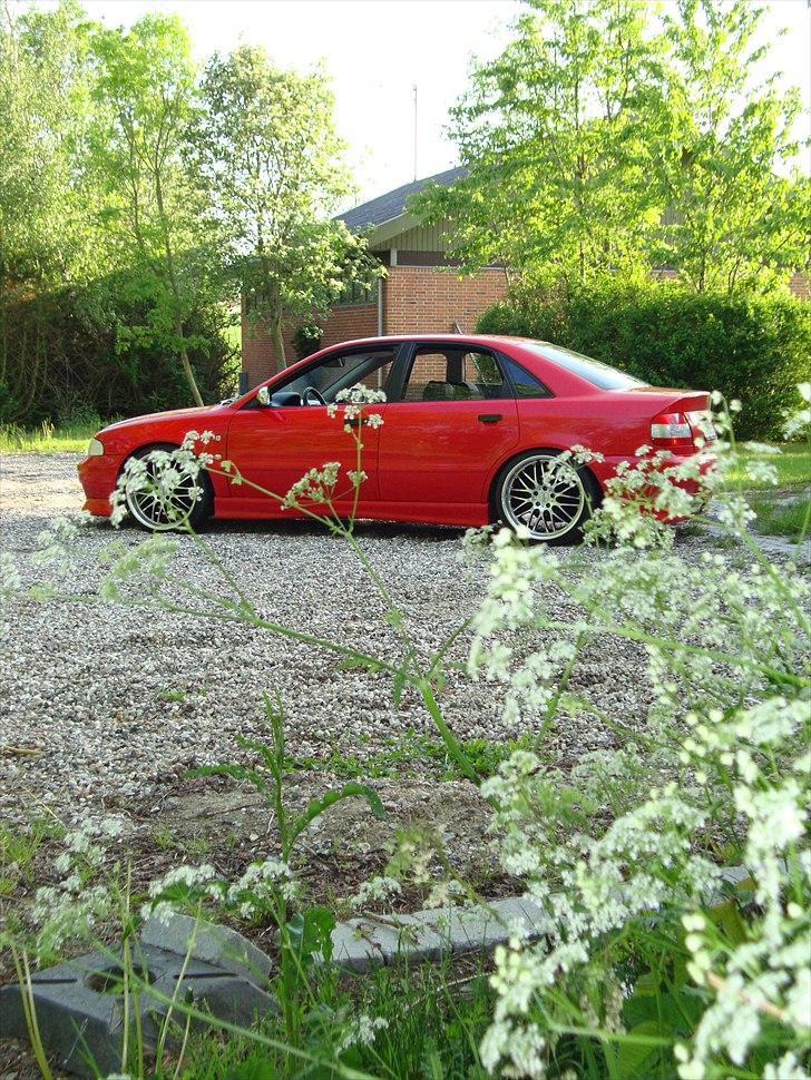 Audi A4 1.8T billede 7