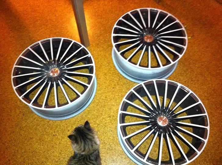 Suzuki swift >white stripes< - fælge malet billede 11