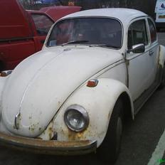VW bobbel