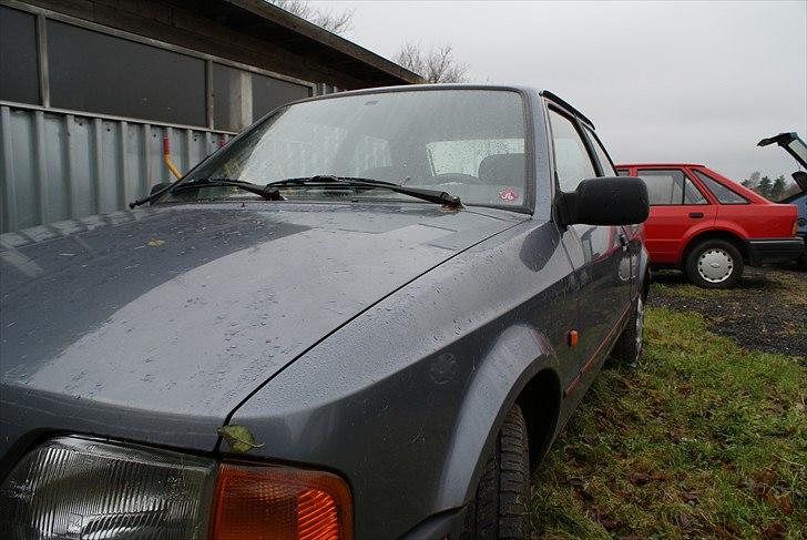 Ford Escort billede 5