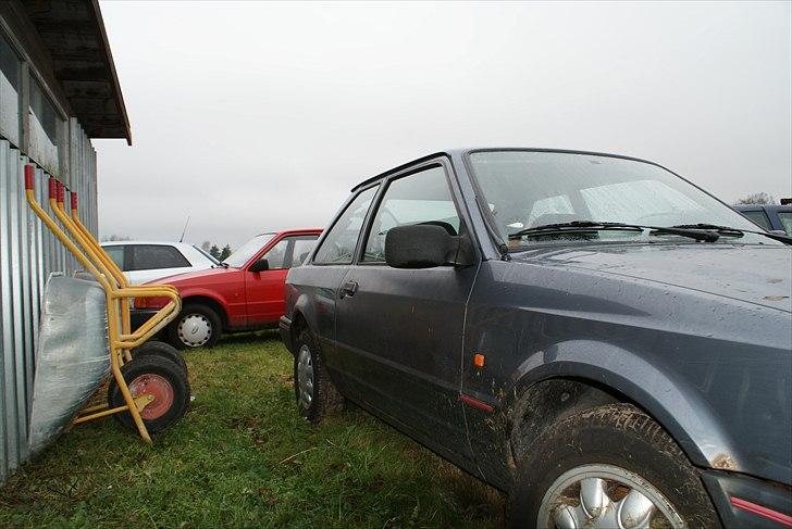 Ford Escort billede 7