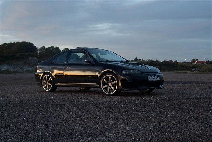 Honda civic coupé  billede 15