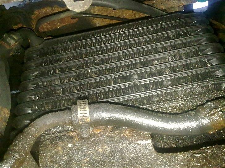 Toyota Celica billede 19