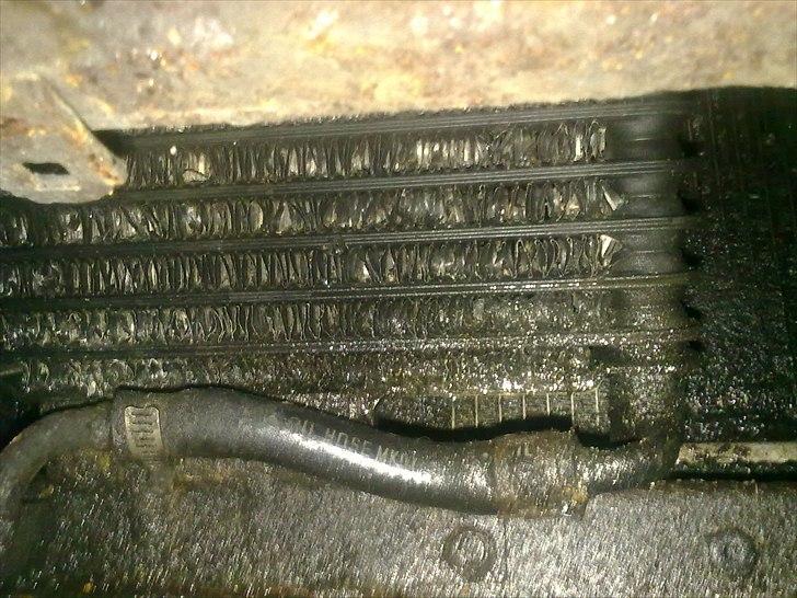 Toyota Celica billede 20