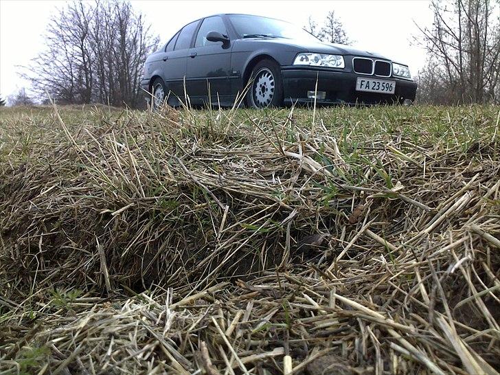 BMW e36 320i  "totalskadet" billede 16