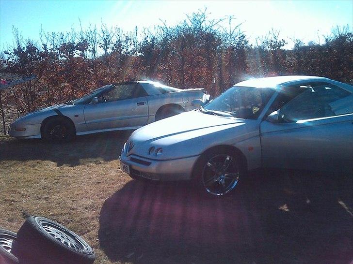 Alfa Romeo GTV V6 Turbo - her kan i se mine 2 biler billede 16