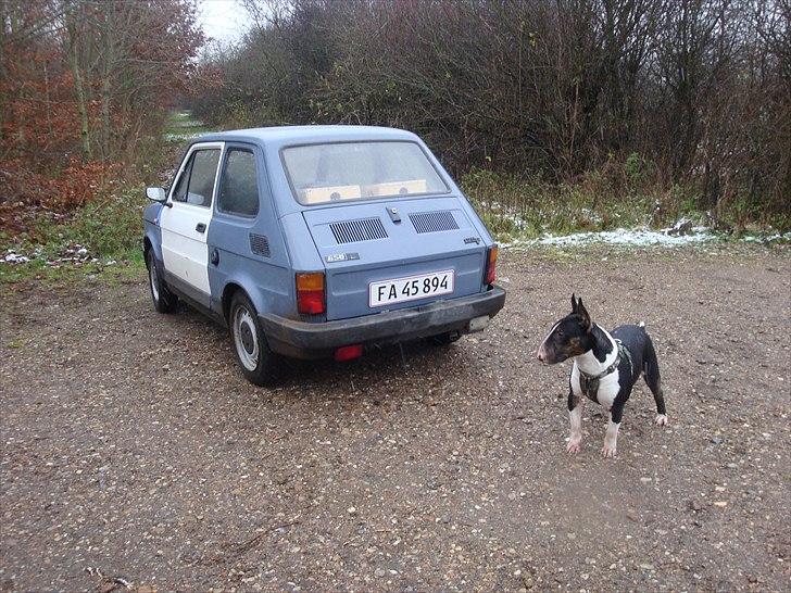 Polski Fiat 126 MALUCH billede 11