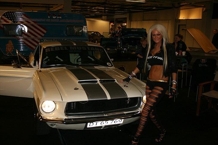 Ford Mustang "Rebel Mustang" - Rebellen sammen med Bjanka Lund... tak for det billede 14