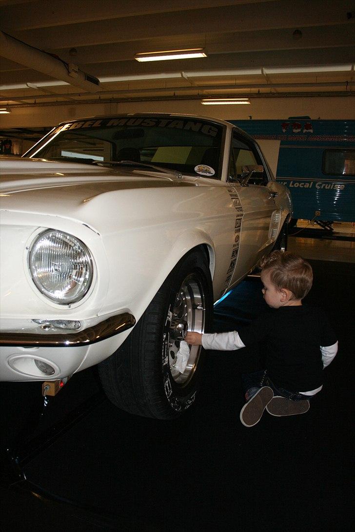 Ford Mustang "Rebel Mustang" - sønnen pudser mustangen før showet starter billede 15