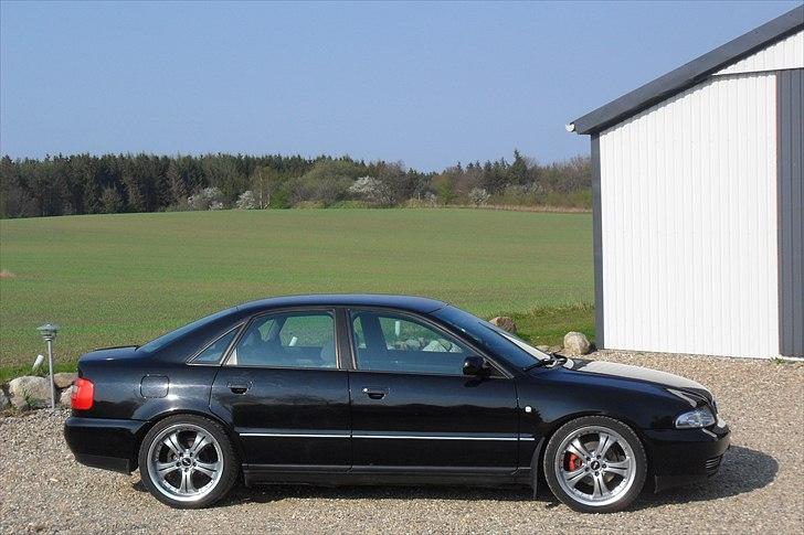 Audi A4 B5 - April 2011 billede 5