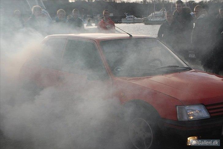 Peugeot 205Vmax 134 billede 10