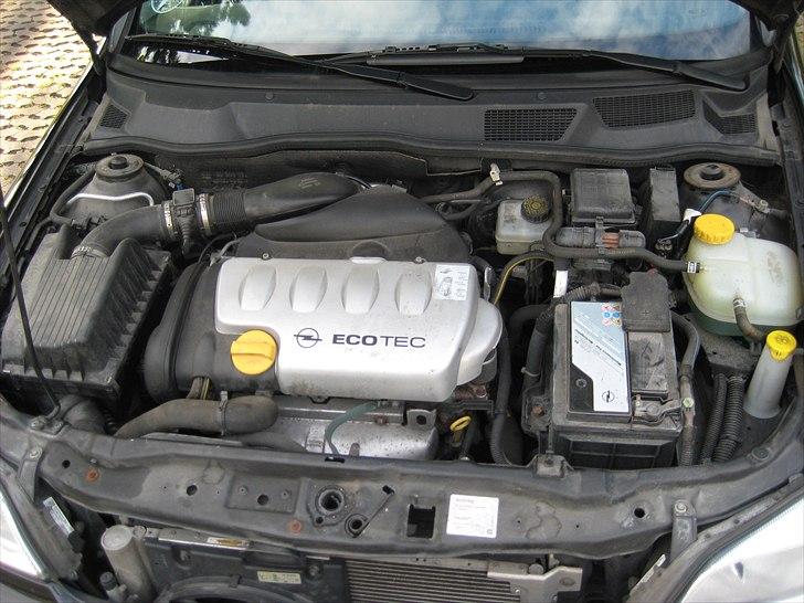 Opel Astra G Elegance - X18XE1 116HP  billede 12