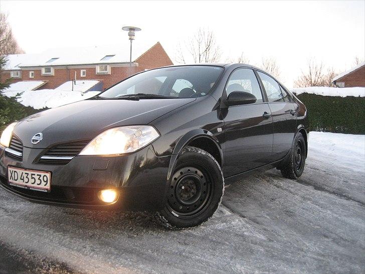 Nissan Primera P12 billede 1