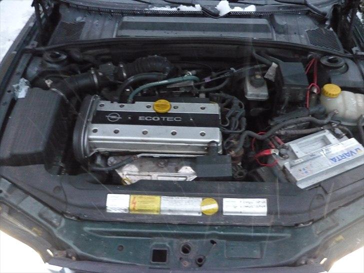 Opel Vectra B CDX billede 18