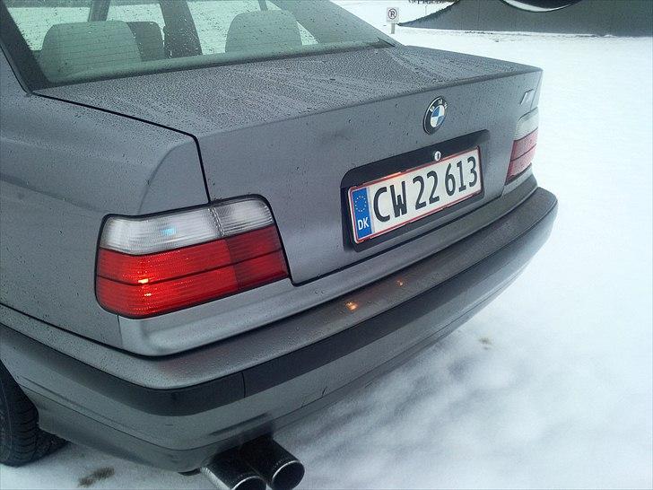 BMW 316i billede 6