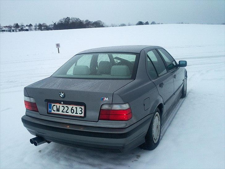BMW 316i billede 7