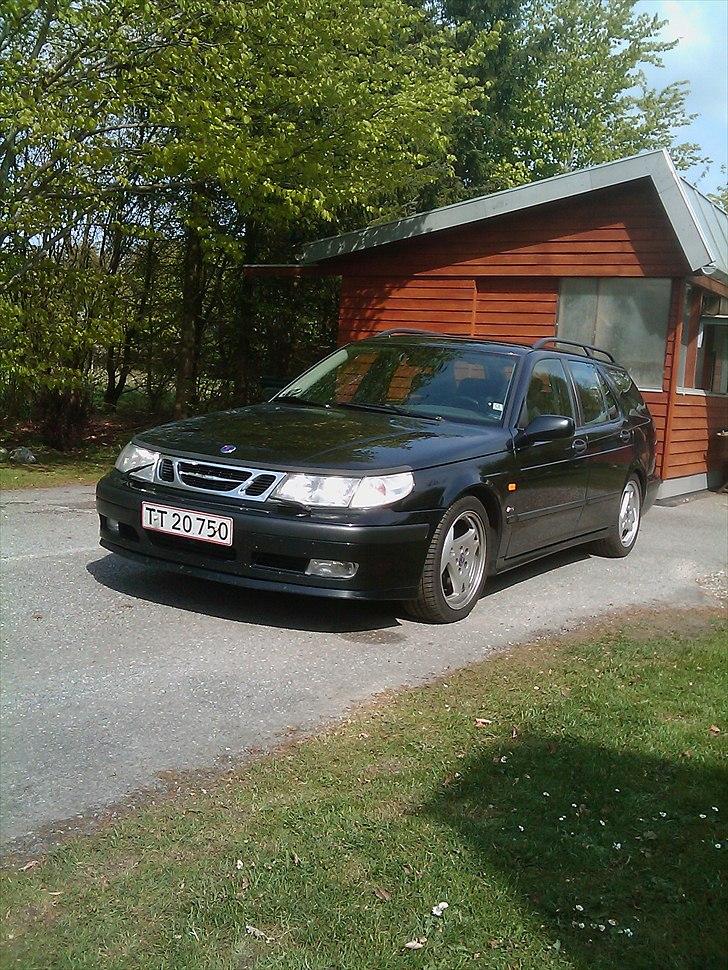 Saab 9-5 Aero Estate - Sol og sommer saab og dueslag billede 1