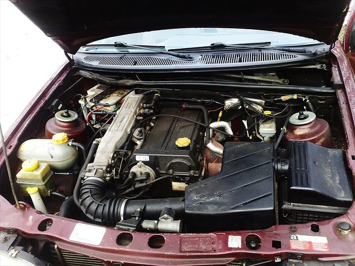 Ford Sierra2.0i CLX  billede 13