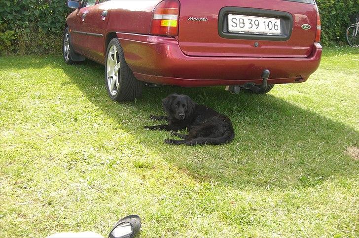 Ford Mondeo 1.8 Delta  billede 11