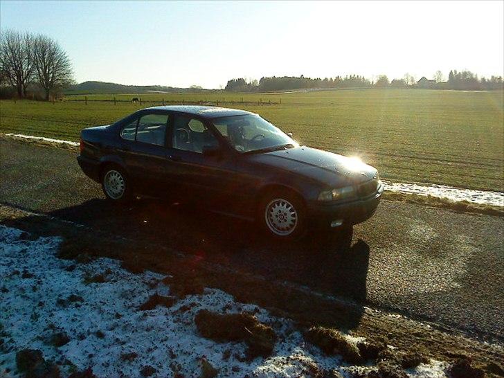 BMW 318i bytte væk billede 6