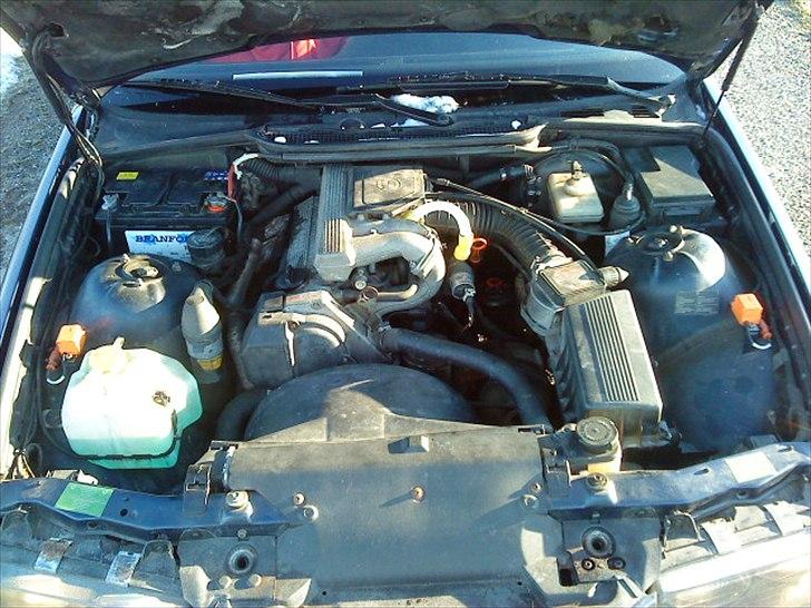 BMW 318i bytte væk billede 8