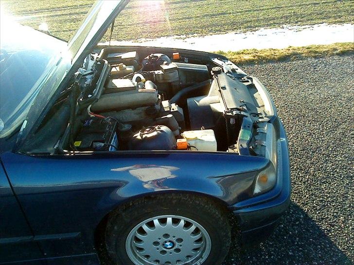 BMW 318i bytte væk billede 9