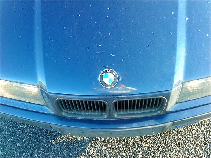BMW 318i bytte væk billede 10
