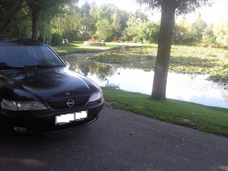 Opel Vectra billede 12