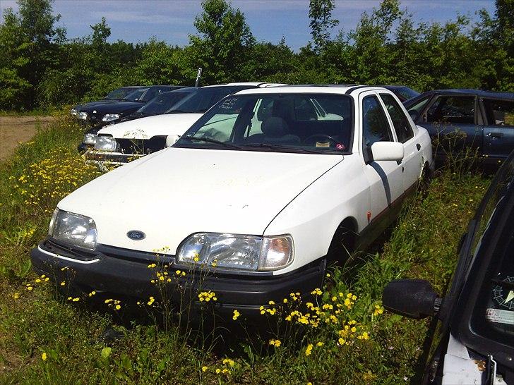 Ford Sierra Plaza - Fundet igen.!! På Hammershøj Autoophug hehe ;) billede 11