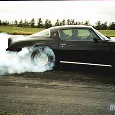 Pontiac Trans Am Firebird