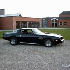 Pontiac Trans Am Firebird