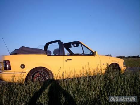 Ford Escort RS Turbo Cabriolet - Bilen er i paradis. Varmt vejr, højt gras og en skyfri himmel. :-) billede 17