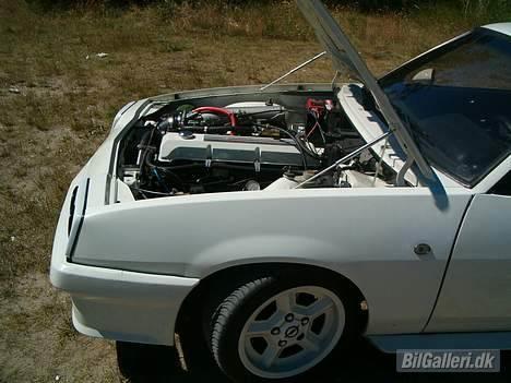 Opel Manta B I240 billede 18