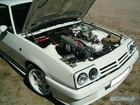 Opel Manta B I240 billede 19