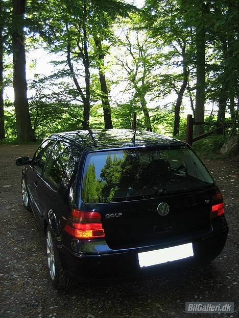 VW Golf IV 1,8 20V Highline - På skovtur :o) billede 8